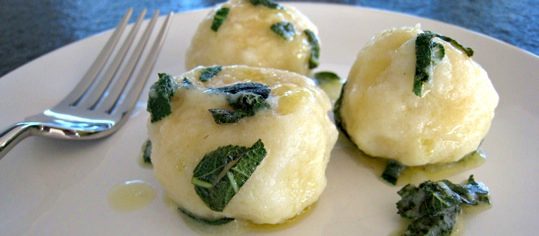Gnudi