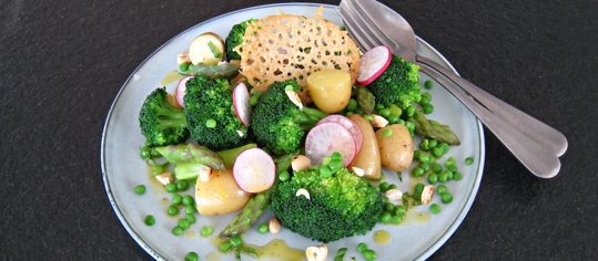 Lauwarmer Gemüsesalat mit Zitronen-Holunderblütenvinaigrette und Parmesanchips
