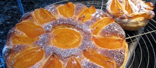 Aprikosenkuchen