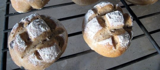 Kernenbrötli