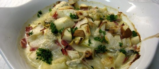Chicoréegratin