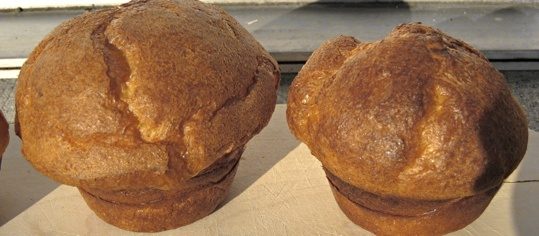 Popovers
