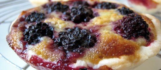 Brombeer-Schokolade-Törtchen