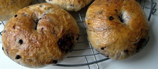 Blueberry-Bagels