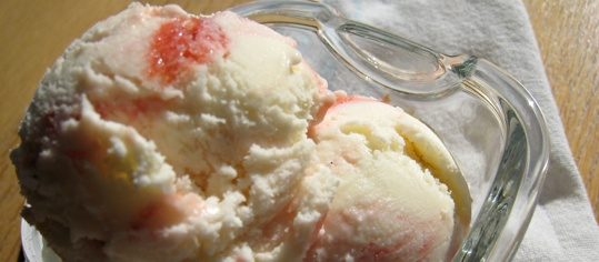 Rhabarber-Joghurt-Glace