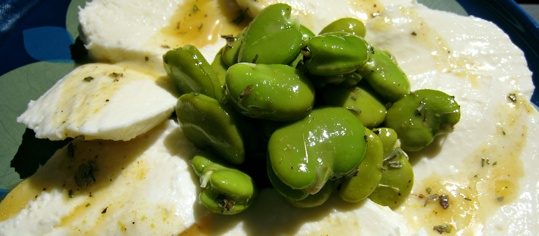 Mozzarella mit Fave an Honigvinaigrette