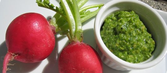 Radieschengrün-Pesto