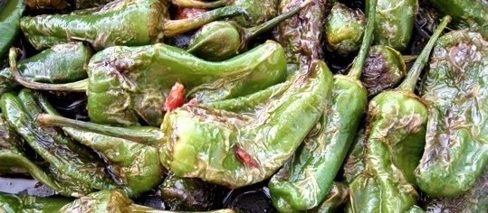 Gebratene Pimientos de Padrón