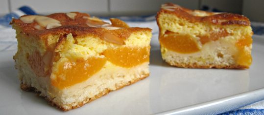 Aprikosen-Blechkuchen