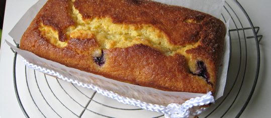 Zitronen-Heidelbeer-Cake