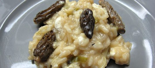 Morchelrisotto mit Ziegenkäse