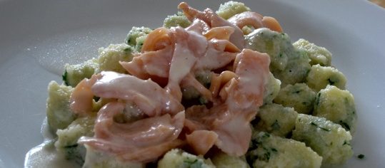 Quark-Griess-Gnocchi mit Rauchlachs-Sauce